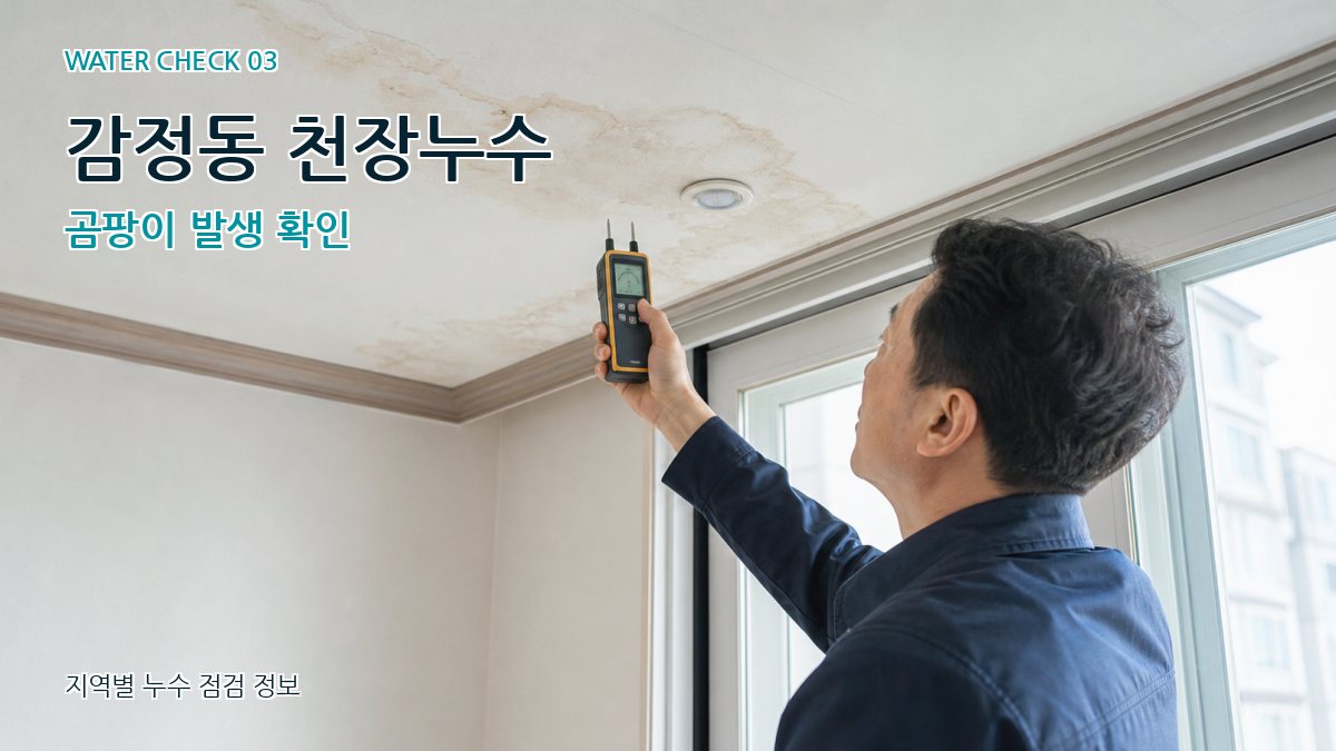 감정동 천장누수 누수탐지 이미지